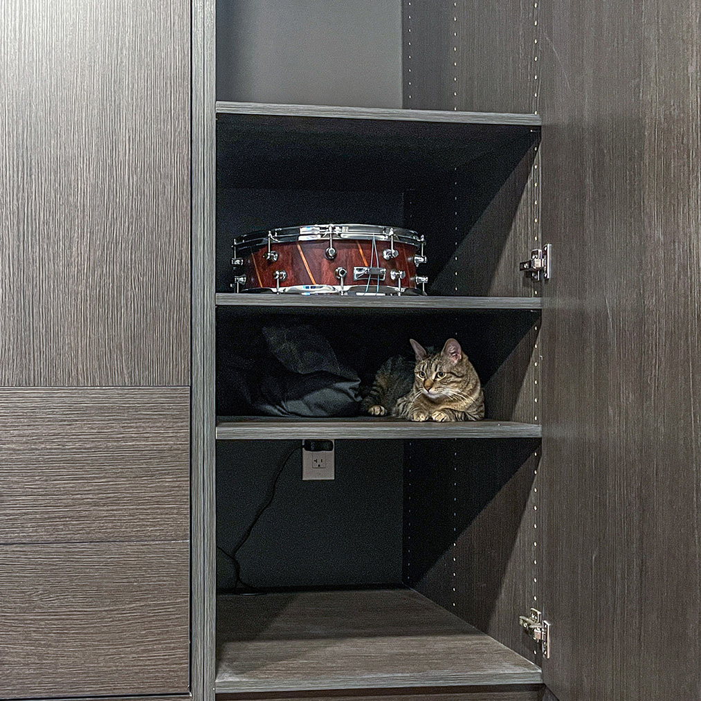 cat in cabinet